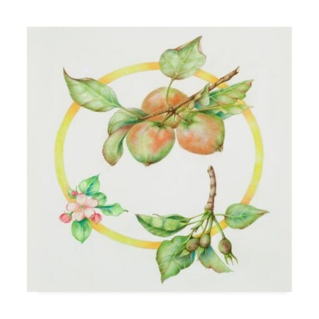 Trademark Fine Art